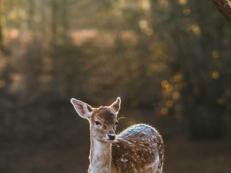 云图解密<br>qyf5seag.cn 星美451档案